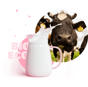 cow with the pitcher of milk